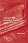 Bryan D Palmer, Bryan D. Palmer - Marxism and Historical Practice (Vol. II)
