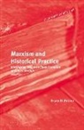 Bryan D Palmer, Bryan D. Palmer - Marxism and Historical Practice (2 Vols)