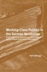 Ralf Hoffrogge - Working-Class Politics in the German Revolution
