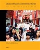 W. L. Idema, Wilt Idema - Chinese Studies in the Netherlands