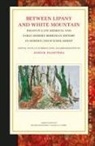 James R. Palmitessa - Between Lipany and White Mountain