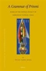 Picus Sizhi Ding - A Grammar of Prinmi