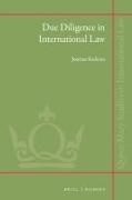 Joanna Kulesza - Due Diligence in International Law