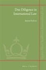 Joanna Kulesza - Due Diligence in International Law