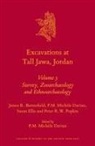 James R Battenfield, James R. Battenfield, Susan Ellis, Peter R W Popkin, Peter R. W. Popkin, P M Michèle Daviau - Excavations at Tall Jawa, Jordan