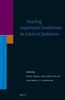 Hindy Najman, Jean-Sébastien Rey, Eibert J C Tigchelaar, Eibert J. C. Tigchelaar - Tracing Sapiential Traditions in Ancient Judaism