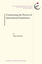 Viljam Engström, Viljam Engström - Constructing the Powers of International Institutions
