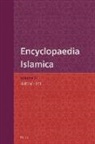 Farhad Daftary, Wilferd Madelung - Encyclopaedia Islamica Volume 5: Al-B&#299;r&#363;n&#299; - Da&#7717;w Al-Ar&#7693