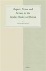 Stefan Bruweleit - Aspect, Tense and Action in the Arabic Dialect of Beirut