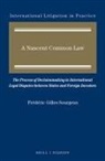 Frédéric Gilles Sourgens - A Nascent Common Law