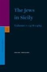 Shlomo Simonsohn - The Jews in Sicily, Volume 7 (1478-1489)