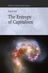 Robert Biel - The Entropy of Capitalism