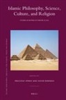Felicitas Opwis, David Reisman - Islamic Philosophy, Science, Culture, and Religion