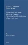 Galal A Amin, Galal A. Amin - Egypt's Economic Predicament
