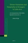 Joshua W Jipp, Joshua W. Jipp - Divine Visitations and Hospitality to Strangers in Luke-Acts