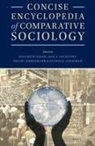 Jack Goldstone, Masamichi Sasaki, Ekkart Zimmermann - Concise Encyclopedia of Comparative Sociology