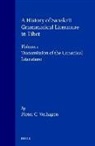 Pieter Cornelis Verhagen - A History of Sanskrit Grammatical Literature in Tibet, Volume 1 Transmission of the Canonical Literature