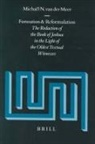 Michaël van der Meer - Formation and Reformulation