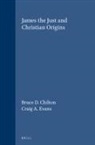 Bruce D Chilton, Bruce D. Chilton, Craig A Evans, Craig A. Evans - James the Just and Christian Origins