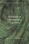 James Lewis, James R. Lewis, Murphy Pizza - Handbook of Contemporary Paganism