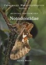 Alexander Schintlmeister - Notodontidae