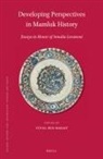 Yuval Ben-Bassat - Developing Perspectives in Mamluk History