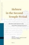 Moshe Bar-Asher, Ruth Clements, Steven Fassberg - Hebrew in the Second Temple Period