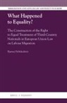 Bjarney Friðriksdóttir - What Happened to Equality?