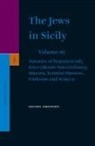 Shlomo Simonsohn - The Jews in Sicily, Volume 16 Notaries of Trapani (End), Erice (Monte San Giuliano), Mazara, Termini Imerese, Corleone and Sciacca
