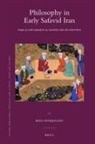 Reza Pourjavady - Philosophy in Early Safavid Iran