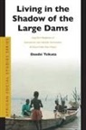 Dzodzi Tsikata - Living in the Shadow of the Large Dams
