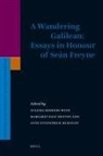 Margaret Daly-Denton, Anne Fitzpatrick-Mckinley, Zuleika Rodgers - A Wandering Galilean: Essays in Honour of Seán Freyne