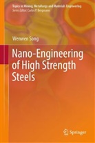 WenWen Song - Nano-Engineering of High Strength Steels