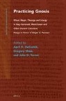 April Deconick, Gregory Shaw, John D Turner, John D. Turner - Practicing Gnosis