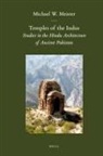 Michael W Meister, Michael W. Meister - Temples of the Indus