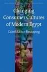 Mona Abaza - The Changing Consumer Cultures of Modern Egypt