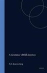 N J C Kouwenberg, N. J. C. Kouwenberg - A Grammar of Old Assyrian