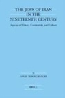 David Yeroushalmi - The Jews of Iran in the Nineteenth Century