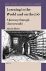 Mitch Bleier - Learning in the World and on the Job