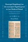 Maciej Mikula - Municipal Magdeburg Law (Ius Municipale Magdeburgense) in Late Medieval Poland