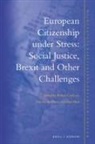 Nathan Cambien, Dimitry Kochenov, Elise Muir - European Citizenship Under Stress