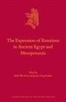 Shih-Wei Hsu, Jaume Llop Raduà - The Expression of Emotions in Ancient Egypt and Mesopotamia
