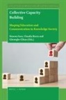 Claudia Borca, Gheorghe Clitan, Simona Sava - Collective Capacity Building