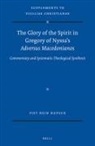 Piet Hein Hupsch - The Glory of the Spirit in Gregory of Nyssa's Adversus Macedonianos