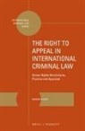 Drazan Djukic - The Right to Appeal in International Criminal Law