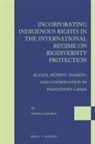 Federica Cittadino - Incorporating Indigenous Rights in the International Regime on Biodiversity Protection
