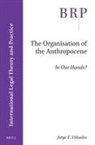 Jorge E Viñuales, Jorge E. Viñuales - The Organisation of the Anthropocene