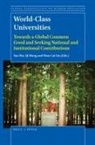 Nian Cai Liu, Qi Wang, Yan Wu - World-Class Universities
