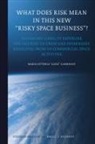 Carminati - What Does Risk Mean in This New "Risky Space Business"?