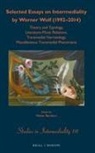 Werner Wolf, Walter Bernhart - Selected Essays on Intermediality by Werner Wolf (1992-2014)